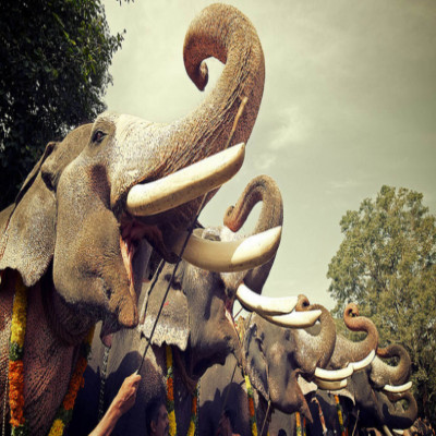 Aarattu Sightseeing
